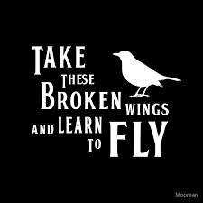 Birds Of A Feather Song Phish The Beatles Blackbird Lyrics By Moorean Beatles Quotes Song Lyrics Wallpaper Beatles Lyrics