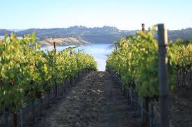 1 hektar berapa meter persegi. Jefford Hektar Hingga Hektar Dan Statistik Wain Lain Yang Perlu Diketahui Winestealssd Com Pendapat