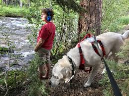 The majority of our dogs come from our own strategic breeding program. Does Your Child Need A Service Dog Dfwchild