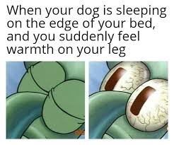 Kick It Meme By Bobsaggit Memedroid