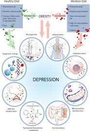Check spelling or type a new query. Diet And Depression Exploring The Biological Mechanisms Of Action Molecular Psychiatry
