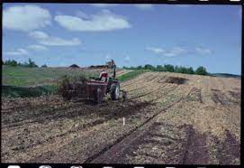 Effective pest management tool and environmental anaerobic soil disinfestation is an alternative to soil fumigation for control of some. Anaerobic Soil Disinfestation To Control Soil Borne Pathogens Webinar Sare Western