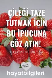 Cilek Bozulmadan Nasil Saklanir 2020 Saglikli Sekerlemeler Cilek Yemek Tarifleri