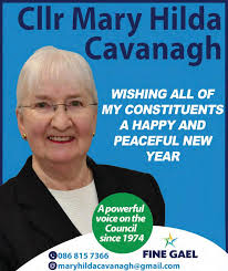 Kilkenny Observer 10 January 2025 by Kilkenny Observer