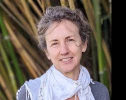 PSOV Corporeal Poetry Exhibit Catalog 2024 by Cindy Hill