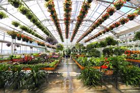 We did not find results for: Sam Bridge Nursery Greenhouses Llc Home Facebook