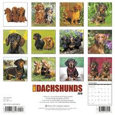 Dachshund Dogbreed Gifts Com Dachshund Calendars