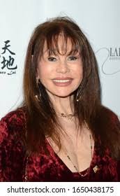 4+ Thousand O 'neal Royalty-Free Images, Stock Photos & Pictures