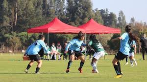 Últimas noticias, fotos, y videos de deportes iquique las encuentras en depor.pe. M Alairelibre Cl Noticias Site Artic 20210620 I