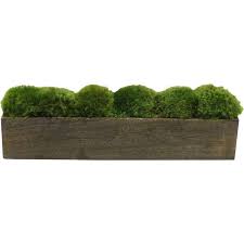 Pin By Trisha Dowd On Home Sweet Home Moss Plant Planters Wood Planters