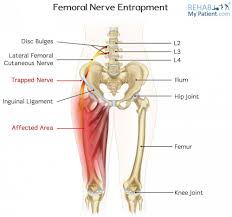 The various muscles which attach to or cover the hip joint generate the hip's movement. Images Generation