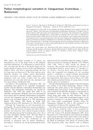 Image result for Fadogia schmitzii