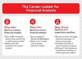 Bjc job description of senior financial analyst provides analysis of financial data, including clinical service line reporting, trend analysis, proformas, and forecasts, and the monitoring of key financial metrics. Finance Degree Jobs Career Paths Northeastern University