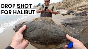 Rodney marquez explains his halibut tips. Drop Shot Rig For Halibut Off 73 Medpharmres Com