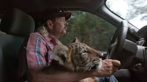 Netflix Tiger King Joe Exotic Loves New Fame Even In Prison Los Angeles Times