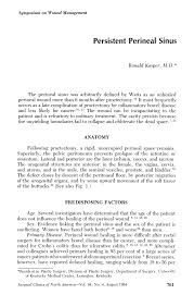 Persistent Perineal Sinus