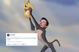 Not great, according to the plummeting valuation of dogecoin, the literal cartoon … read more on jezebel.com. Dogecoin Is Worth 10 Cents Is Elon Musk S Favorite Meme Cryptocurrency The Next Bitcoin