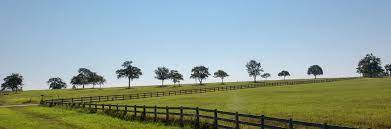 Before we go on to talk about how to buy farmland for investment, let's get you to know why you should invest in farmland. Texas Farm Credit Land Real Estate Agriculture And Farm Loans