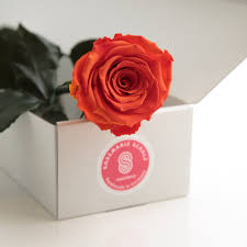 Flower preservation workshop preserve your wedding flowers in paperweight keepsake. Long Living Preserved Roses With Stem In Different Colours