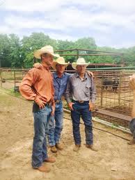 Leann Hart On Twitter Pbr Bull Riding Rodeo Cowboys Rodeo Life