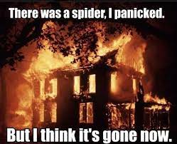 Spider bites in the us usually are harmless, and you can treat them at home, but a bite from a black widow or brown recluse spider can be dangerous, and needs treatment by a doctor. 69187 478823305483948 1156817615 N Friday Funny Pictures Funny Pictures Bones Funny