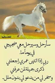 pin by ghada elsaied on محمد cool words funny comments arabic quotes