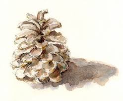 Draw a simple clean background. Watercolor Pine Christmas Card Art Watercolor