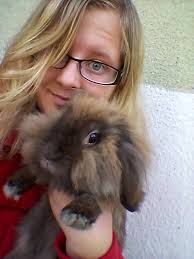 bunnyday.blogg.se