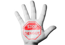 Image result for Dengue