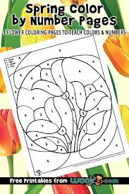 We've custom drawn all of these and they include lots of your favorite spring things like rainbows, flowers, birds, bunnies and more! Spring Color By Number Pages Woo Jr Kids Activities