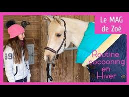 le mag de zoe routine cocooning avec olivia pour desirless et gazelle youtube routine gazelle equestre