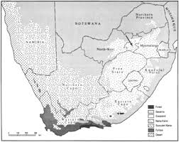 Image result for Hippocratea longipetiolata