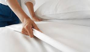 Our bed bug exterminators are 100% guaranteed to eliminate your infestation. Bed Bug Treatment Options