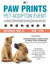 Maybe you would like to learn more about one of these? News And Tribune Pet Adoption Event Set For Saturday News Newsandtribune Com