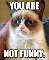 You Are Not Funny Misc Quickmeme