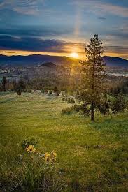 80 best missoula montana images missoula montana montana missoula pinterest