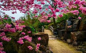 The garden was originally the private garden outside the castle of kanazawa, located just opposite. Japanese Flower Garden Wallpapers Top Free Japanese Flower Garden Backgrounds Wallpaperaccess