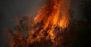 Fuego de grandes dimensiones que destruye lo que no está destinado a arder, como edificios. Dsxstywmhegqtm