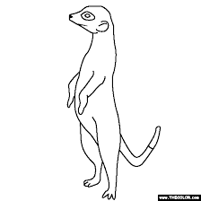 You will get 1 meerkat coloring page in jpg (2550px x 3300px) for your kids coloring project. Pin On Homeschool