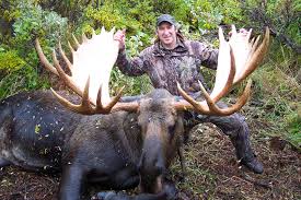 Check spelling or type a new query. Alaska D L Outfitters Moose Hunting