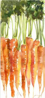 Carrots Watercolor Paintings Watercolour Inspiration Watercolor Art