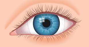 Dec 17, 2020 · yes, most rigid gas permeable contact lenses can take a few weeks to get used to. Scleral Contact Lenses For Keratoconus And Irregular Corneas