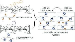 You should be able to click on the schematic to enlarge it. The Light Controlling Of Temperature Responsivity In Stimuli Responsive Polymers Polymer Chemistry Rsc Publishing Doi 10 1039 C9py00890j