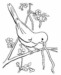 This robin coloring page is a great activity for kids who love to color birds. Robin Coloring Pages Best Coloring Pages For Kids