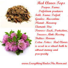 Maybe you would like to learn more about one of these? Lavender Flowers Dried Magical Herb Relaxation Sleep Love Protection Pagan