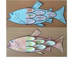 Fish Life Cycle Art Activity Salmon Life Cycle Art Fish Life Cycle Life Cycles Art Activities
