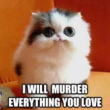 Image result for Animal Meme