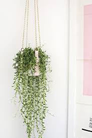 40 Hanging Plant Ideas 40 Hanging Plants Indoor Diy Hanging Planter Hanging Plants