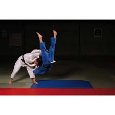 Karate handschuhe, karate protector, taekwondo protector, karate guard, sportausrüstung boxkäfig, speed ball, matten, gummimatten, grappling matte, kampfmatte, dojo trainingsmatte. Matten