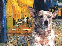Is the australian cattle dog the right dog breed for you? Australian Cattle Dog Red Heeler Art Van Gogh Cafe Terrace Painting By Sandra Sij
